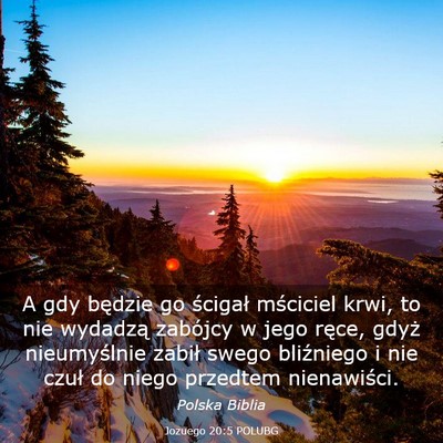 Picture 03 - Jozuego 20:5 POLUBG - A gdy będzie go ścigał mściciel krwi, to nie - Bible Verse Picture