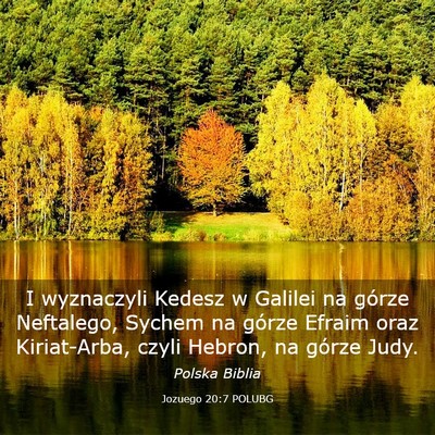 Picture 03 - Jozuego 20:7 POLUBG - I wyznaczyli Kedesz w Galilei na górze - Bible Verse Picture
