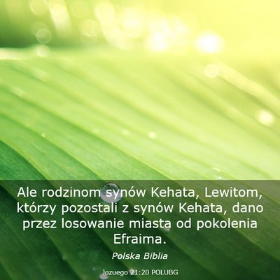 Picture 03 - Jozuego 21:20 POLUBG - Ale rodzinom synów Kehata, Lewitom, którzy - Bible Verse Picture