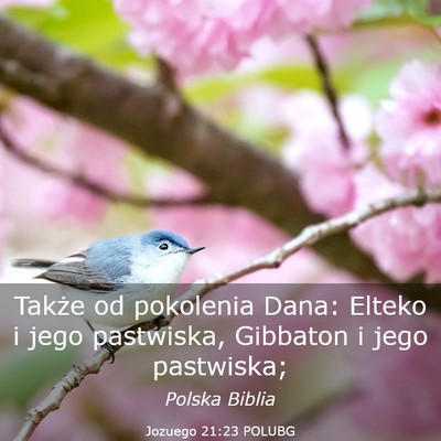 Picture 03 - Jozuego 21:23 POLUBG - Także od pokolenia Dana: Elteko i jego - Bible Verse Picture