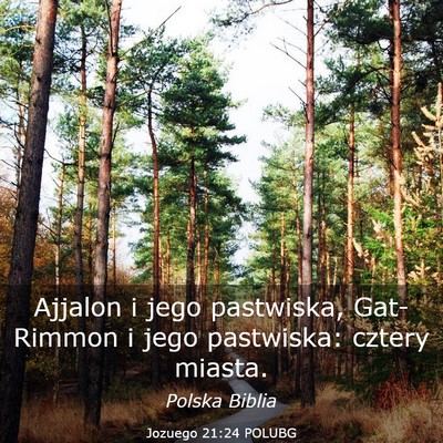 Picture 03 - Jozuego 21:24 POLUBG - Ajjalon i jego pastwiska, Gat-Rimmon i jego - Bible Verse Picture