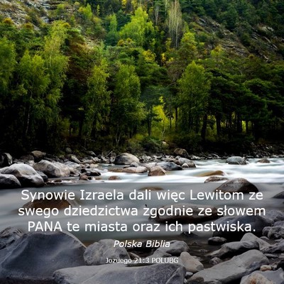 Picture 03 - Jozuego 21:3 POLUBG - Synowie Izraela dali więc Lewitom ze swego - Bible Verse Picture