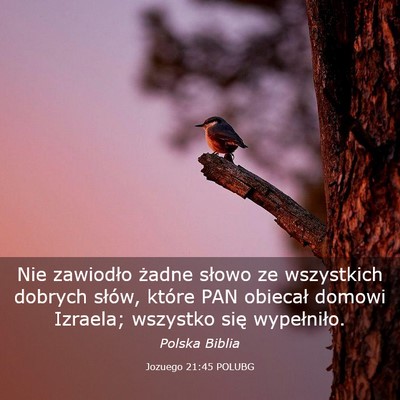 Picture 03 - Jozuego 21:45 POLUBG - Nie zawiodło żadne słowo ze wszystkich dobrych - Bible Verse Picture