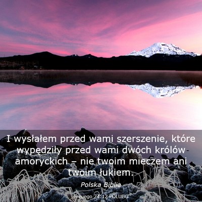 Picture 03 - Jozuego 24:12 POLUBG - I wysłałem przed wami szerszenie, które - Bible Verse Picture