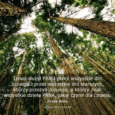 Picture 03 - Jozuego 24:31 POLUBG - Izrael służył PANU przez wszystkie dni Jozuego - Bible Verse Picture
