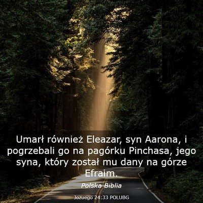 Picture 03 - Jozuego 24:33 POLUBG - Umarł również Eleazar, syn Aarona, i - Bible Verse Picture