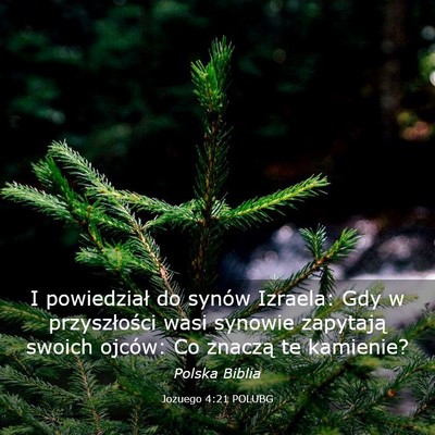 Picture 03 - Jozuego 4:21 POLUBG - I powiedział do synów Izraela: Gdy w - Bible Verse Picture