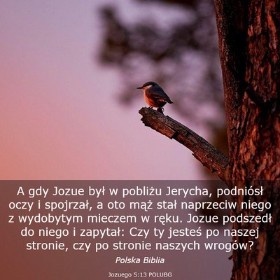 Picture 03 - Jozuego 5:13 POLUBG - A gdy Jozue był w pobliżu Jerycha, podniósł - Bible Verse Picture