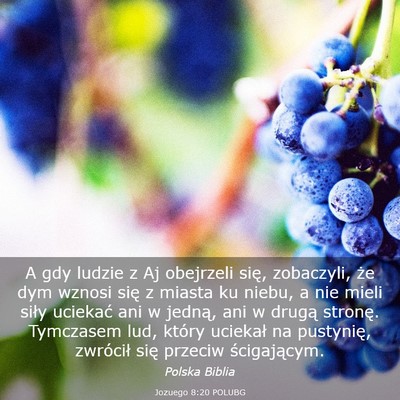 Picture 03 - Jozuego 8:20 POLUBG - A gdy ludzie z Aj obejrzeli się, zobaczyli, że - Bible Verse Picture