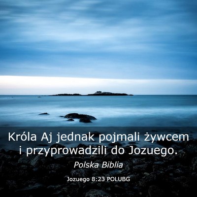 Picture 03 - Jozuego 8:23 POLUBG - Króla Aj jednak pojmali żywcem i przyprowadzili - Bible Verse Picture