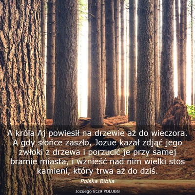 Picture 03 - Jozuego 8:29 POLUBG - A króla Aj powiesił na drzewie aż do wieczora. - Bible Verse Picture