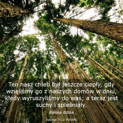 Picture 03 - Jozuego 9:12 POLUBG - Ten nasz chleb był jeszcze ciepły, gdy - Bible Verse Picture