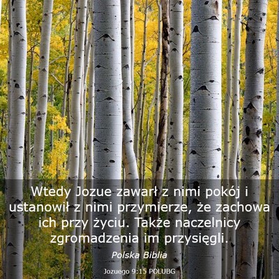 Picture 03 - Jozuego 9:15 POLUBG - Wtedy Jozue zawarł z nimi pokój i ustanowił z - Bible Verse Picture