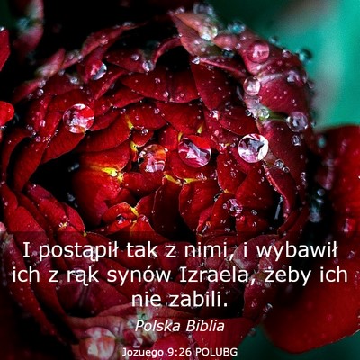 Picture 03 - Jozuego 9:26 POLUBG - I postąpił tak z nimi, i wybawił ich z rąk - Bible Verse Picture