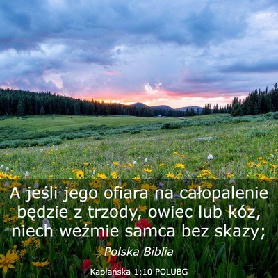 Picture 03 - Kapłańska 1:10 POLUBG - A jeśli jego ofiara na całopalenie będzie z - Bible Verse Picture