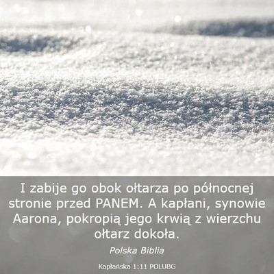 Picture 03 - Kapłańska 1:11 POLUBG - I zabije go obok ołtarza po północnej stronie - Bible Verse Picture