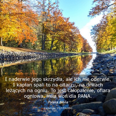 Picture 03 - Kapłańska 1:17 POLUBG - I naderwie jego skrzydła, ale ich nie oderwie. I - Bible Verse Picture