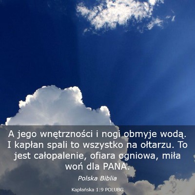 Picture 03 - Kapłańska 1:9 POLUBG - A jego wnętrzności i nogi obmyje wodą. I - Bible Verse Picture