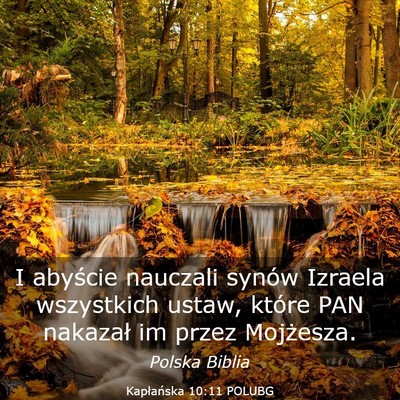 Picture 03 - Kapłańska 10:11 POLUBG - I abyście nauczali synów Izraela wszystkich - Bible Verse Picture