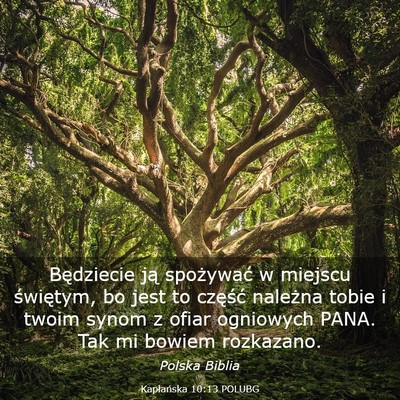 Picture 03 - Kapłańska 10:13 POLUBG - Będziecie ją spożywać w miejscu świętym, bo - Bible Verse Picture