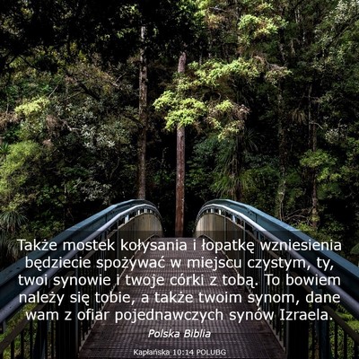 Picture 03 - Kapłańska 10:14 POLUBG - Także mostek kołysania i łopatkę wzniesienia - Bible Verse Picture