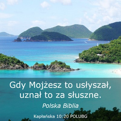 Picture 03 - Kapłańska 10:20 POLUBG - Gdy Mojżesz to usłyszał, uznał to za - Bible Verse Picture