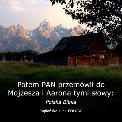 Picture 03 - Kapłańska 11:1 POLUBG - Potem PAN przemówił do Mojżesza i Aarona tymi - Bible Verse Picture
