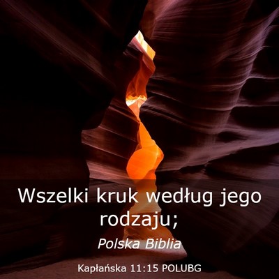 Picture 03 - Kapłańska 11:15 POLUBG - Wszelki kruk według jego - Bible Verse Picture