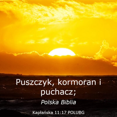 Picture 03 - Kapłańska 11:17 POLUBG - Puszczyk, kormoran i - Bible Verse Picture