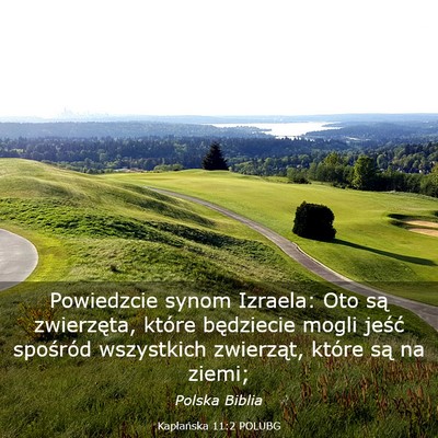Picture 03 - Kapłańska 11:2 POLUBG - Powiedzcie synom Izraela: Oto są zwierzęta, - Bible Verse Picture