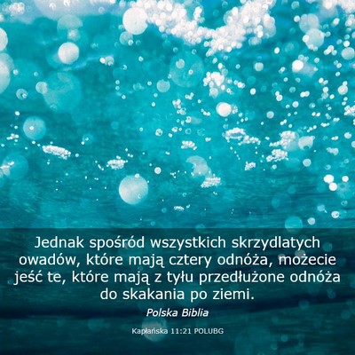 Picture 03 - Kapłańska 11:21 POLUBG - Jednak spośród wszystkich skrzydlatych owadów, - Bible Verse Picture