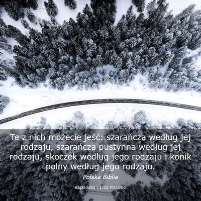 Picture 03 - Kapłańska 11:22 POLUBG - Te z nich możecie jeść: szarańcza według jej - Bible Verse Picture
