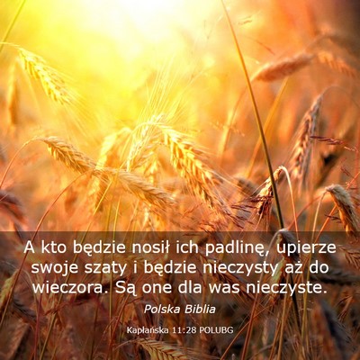 Picture 03 - Kapłańska 11:28 POLUBG - A kto będzie nosił ich padlinę, upierze swoje - Bible Verse Picture