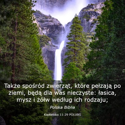 Picture 03 - Kapłańska 11:29 POLUBG - Także spośród zwierząt, które pełzają po - Bible Verse Picture