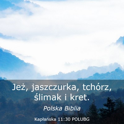 Picture 03 - Kapłańska 11:30 POLUBG - Jeż, jaszczurka, tchórz, ślimak i - Bible Verse Picture