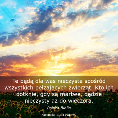 Picture 03 - Kapłańska 11:31 POLUBG - Te będą dla was nieczyste spośród wszystkich - Bible Verse Picture