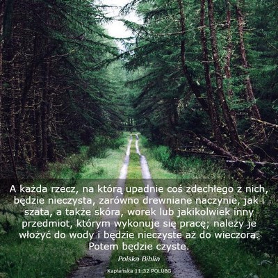 Picture 03 - Kapłańska 11:32 POLUBG - A każda rzecz, na którą upadnie coś - Bible Verse Picture