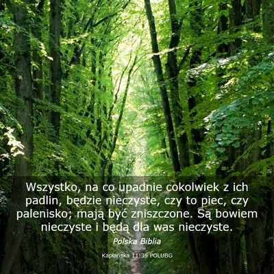 Picture 03 - Kapłańska 11:35 POLUBG - Wszystko, na co upadnie cokolwiek z ich padlin, - Bible Verse Picture