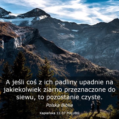 Picture 03 - Kapłańska 11:37 POLUBG - A jeśli coś z ich padliny upadnie na - Bible Verse Picture
