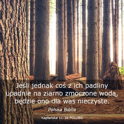 Picture 03 - Kapłańska 11:38 POLUBG - Jeśli jednak coś z ich padliny upadnie na - Bible Verse Picture