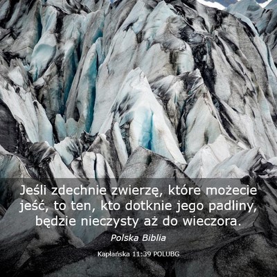 Picture 03 - Kapłańska 11:39 POLUBG - Jeśli zdechnie zwierzę, które możecie jeść, - Bible Verse Picture