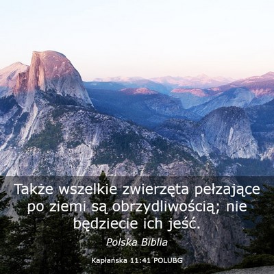 Picture 03 - Kapłańska 11:41 POLUBG - Także wszelkie zwierzęta pełzające po ziemi - Bible Verse Picture