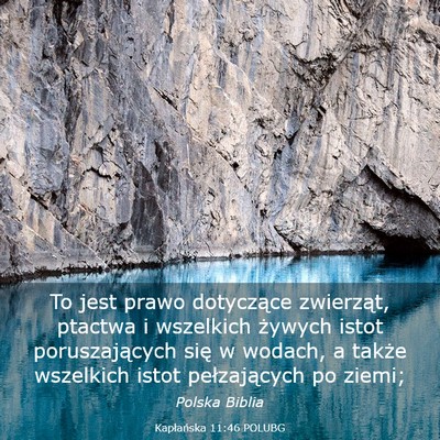 Picture 03 - Kapłańska 11:46 POLUBG - To jest prawo dotyczące zwierząt, ptactwa i - Bible Verse Picture