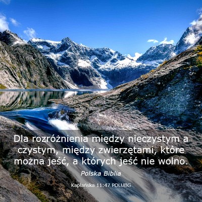 Picture 03 - Kapłańska 11:47 POLUBG - Dla rozróżnienia między nieczystym a czystym, - Bible Verse Picture