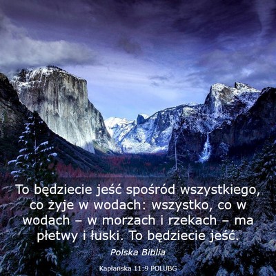 Picture 03 - Kapłańska 11:9 POLUBG - To będziecie jeść spośród wszystkiego, co - Bible Verse Picture