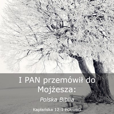 Picture 03 - Kapłańska 12:1 POLUBG - I PAN przemówił do - Bible Verse Picture