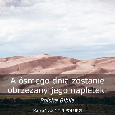 Picture 03 - Kapłańska 12:3 POLUBG - A ósmego dnia zostanie obrzezany jego - Bible Verse Picture
