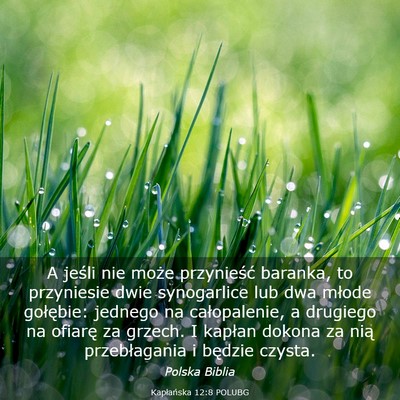 Picture 03 - Kapłańska 12:8 POLUBG - A jeśli nie może przynieść baranka, to - Bible Verse Picture
