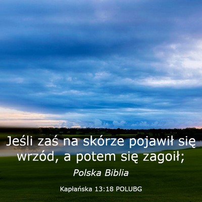 Picture 03 - Kapłańska 13:18 POLUBG - Jeśli zaś na skórze pojawił się wrzód, a - Bible Verse Picture