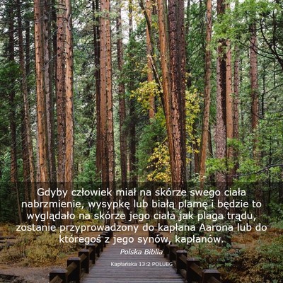 Picture 03 - Kapłańska 13:2 POLUBG - Gdyby człowiek miał na skórze swego ciała - Bible Verse Picture